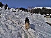 A CA' SAN MARCO (1830 m) dal Ristorante Genzianella (1300 m) pestando neve il 24 febbraio 2021 - FOTOGALLERY"